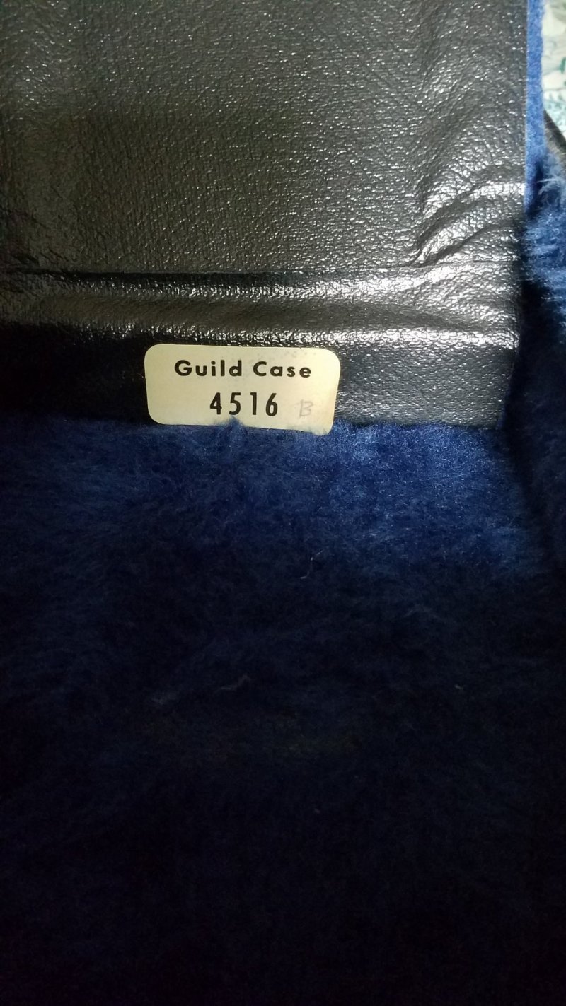 Guild Case 1.jpg