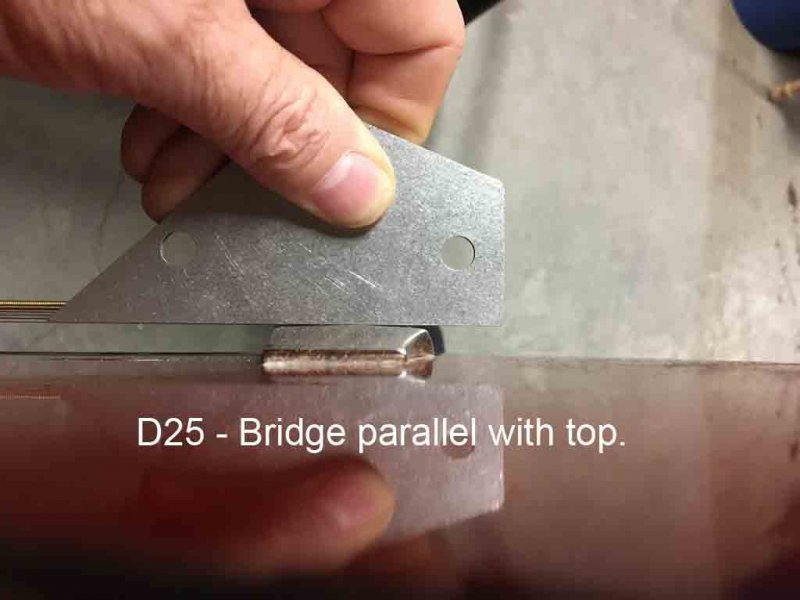 D25-bridge_level.jpg